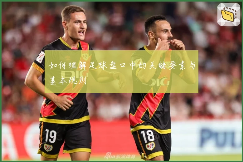 如何理解足球盘口中的关键要素与基本规则