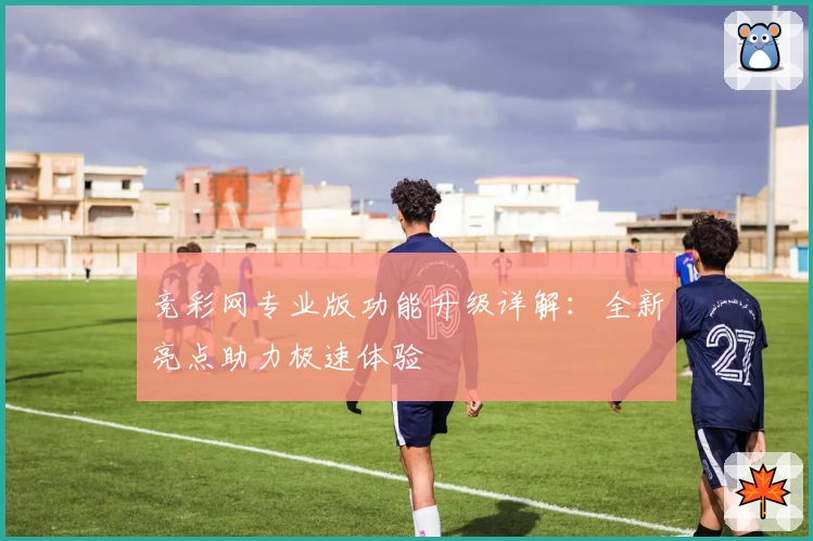 竞彩网专业版功能升级详解：全新亮点助力极速体验