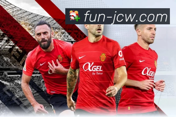 竞彩足球平台生态图